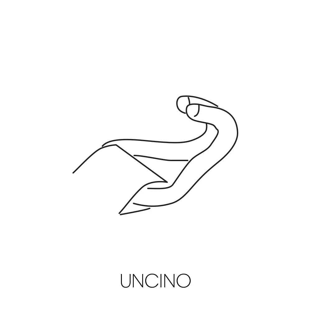 Immagine prodotto 2